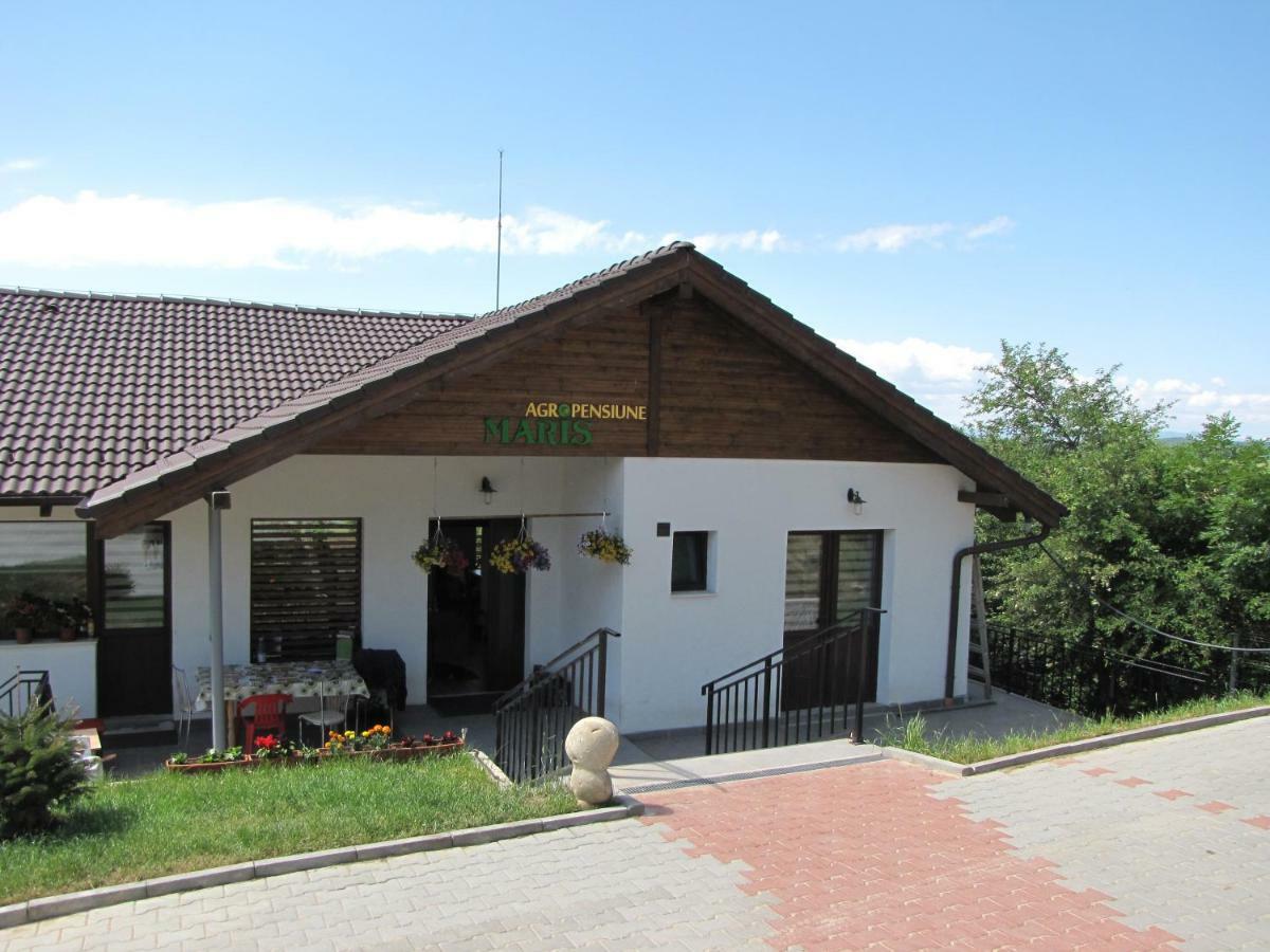 Agropensiunea Maris Feleacu Екстер'єр фото